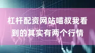 杠杆配资网站喵叔我看到的其实有两个行情