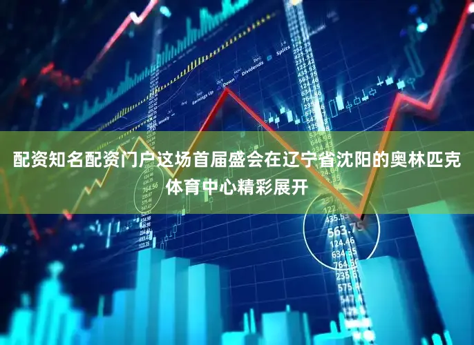 配资知名配资门户这场首届盛会在辽宁省沈阳的奥林匹克体育中心精彩展开